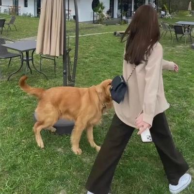 关键目击